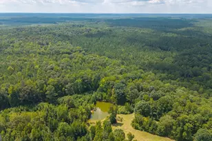 3715 Ga Hwy 219, Franklin, GA 30217 - Photo 61