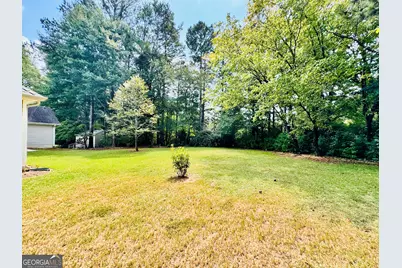 60 Line Creek Lane, Sharpsburg, GA 30277 - Photo 25