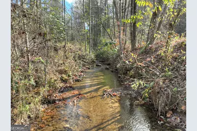 203 Buck Creek Trail, Epworth, GA 30541 - Photo 47