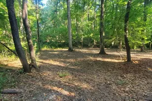 259 Hawks Trail, Newborn, GA 30056 - Photo 73