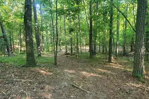 259 Hawks Trail, Newborn, GA 30056 - Photo 75