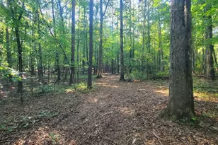 259 Hawks Trail, Newborn, GA 30056 - Photo 67