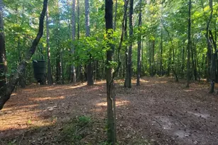 259 Hawks Trail, Newborn, GA 30056 - Photo 61