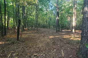 259 Hawks Trail, Newborn, GA 30056 - Photo 65