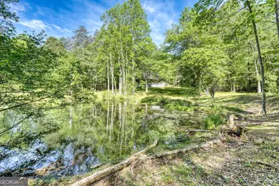 1493 Greasy Creek Road, Brasstown, NC 28902 - Photo 39