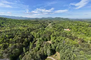1493 Greasy Creek Rd, Brasstown, NC 28902 - Photo 41