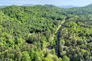 1493 Greasy Creek Rd, Brasstown, NC 28902 - Photo 45