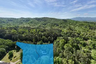 1493 Greasy Creek Rd, Brasstown, NC 28902 - Photo 43