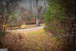 1 5 Acre Bullen Gap Rd, Blue Ridge, GA 30513 - Photo 55