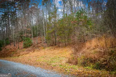 1.5 Acre Bullen Gap Road, Blue Ridge, GA 30513 - Photo 51