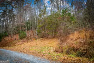 1 5 Acre Bullen Gap Rd, Blue Ridge, GA 30513 - Photo 51
