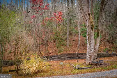 1.5 Acre Bullen Gap Road, Blue Ridge, GA 30513 - Photo 59