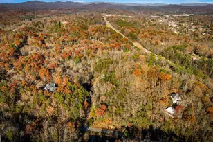 1 5 Acre Bullen Gap Rd, Blue Ridge, GA 30513 - Photo 45