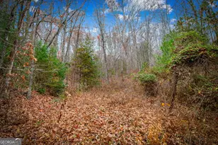 1 5 Acre Bullen Gap Rd, Blue Ridge, GA 30513 - Photo 53