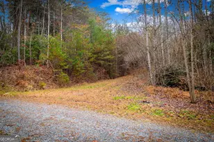 1 5 Acre Bullen Gap Rd, Blue Ridge, GA 30513 - Photo 57