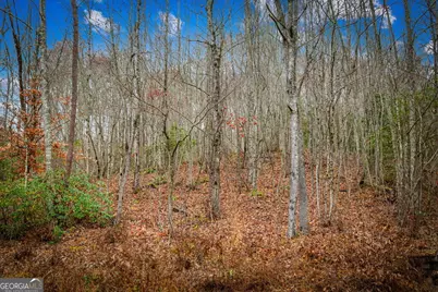 1.5 Acre Bullen Gap Road, Blue Ridge, GA 30513 - Photo 63