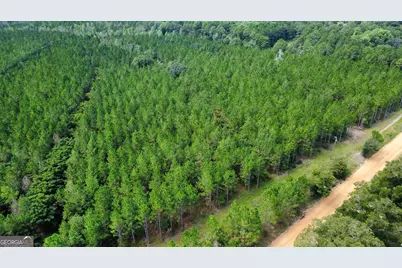 Tract 2 A L Reeves Road, Fitzgerald, GA 31750 - Photo 3