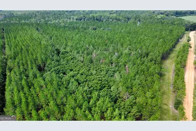 Tract 3 A L Reeves Road, Fitzgerald, GA 31750 - Photo 3