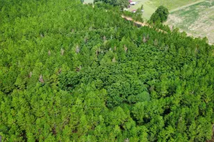 Tract 3 A L Reeves Rd, Fitzgerald, GA 31750 - Photo 1
