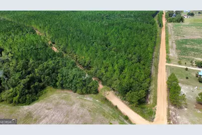 Tract 4 A L Reeves Road, Fitzgerald, GA 31750 - Photo 3