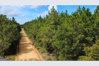 Tract 4 A L Reeves Road, Fitzgerald, GA 31750 - Photo 5