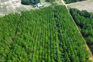 Tract 4 A L Reeves Rd, Fitzgerald, GA 31750 - Photo 1