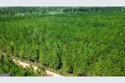 Tract 6 Sunflower Road, Fitzgerald, GA 31750 - Photo 1