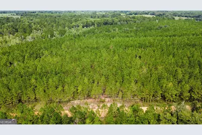 Tract 6 Sunflower Road, Fitzgerald, GA 31750 - Photo 5