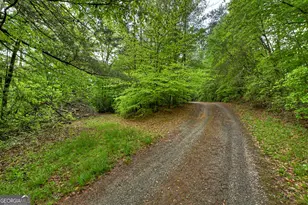 388 Jones St, Blue Ridge, GA 30513 - Photo 15