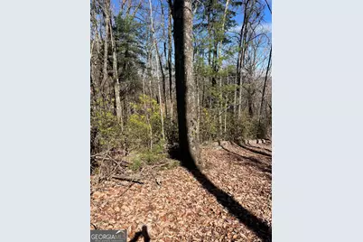 0 Eastman Mtn Road, Tiger, GA 30576 - Photo 3