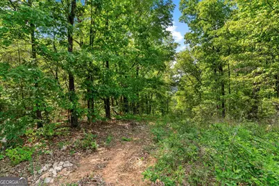 0 Holli Bird Lane, Ringgold, GA 30736 - Photo 9
