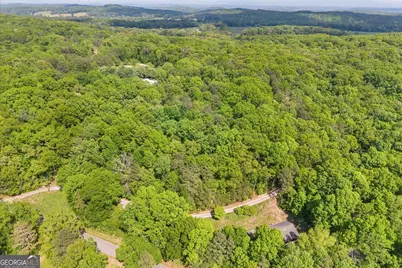 0 Holli Bird Lane, Ringgold, GA 30736 - Photo 17