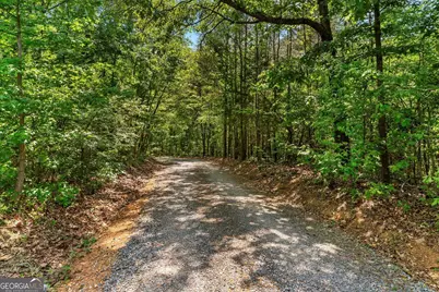 0 Holli Bird Lane, Ringgold, GA 30736 - Photo 7