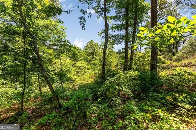 Lt 160 Shallow Water Trail, Talking Rock, GA 30175 - Photo 7