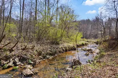 Lt 160 Shallow Water Trail, Talking Rock, GA 30175 - Photo 23