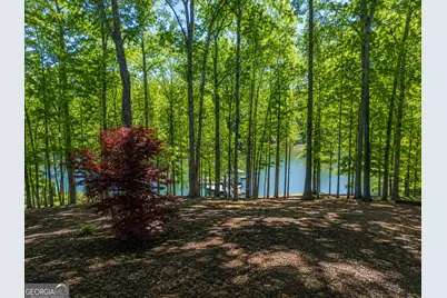 201 Hickory Hill Lane, Martin, GA 30557 - Photo 47