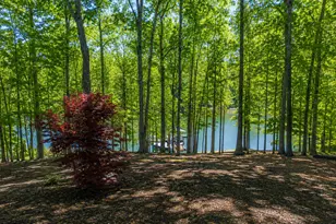 201 Hickory Hill Ln, Martin, GA 30557 - Photo 47