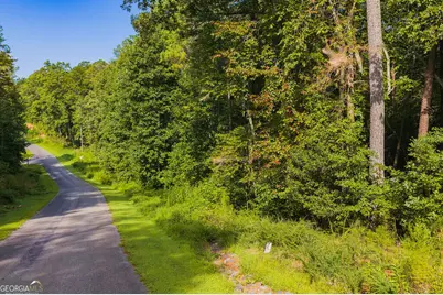 186 Pinnacle Drive, Ellijay, GA 30540 - Photo 3