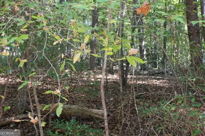 Lot 546 Satsuma North Court, Ellijay, GA 30540 - Photo 5