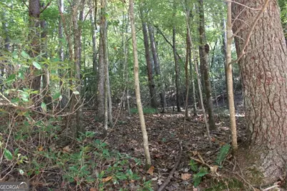 Lot 546 Satsuma North Court, Ellijay, GA 30540 - Photo 7