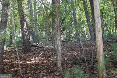 Lot 546 Satsuma North Court, Ellijay, GA 30540 - Photo 3