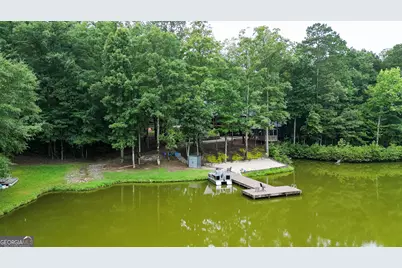 710 Line Creek Road, Senoia, GA 30276 - Photo 115