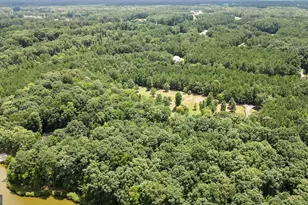 710 Line Creek Rd, Senoia, GA 30276 - Photo 99