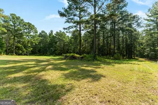 2224 Chainey Briar Rd, Metter, GA 30439 - Photo 131