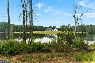2224 Chainey Briar Rd, Metter, GA 30439 - Photo 39