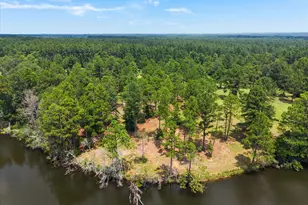 2224 Chainey Briar Rd, Metter, GA 30439 - Photo 25
