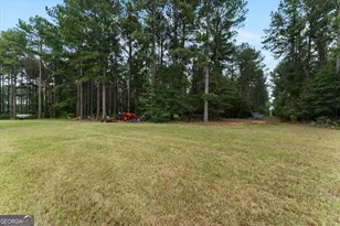 2224 Chainey Briar Rd, Metter, GA 30439 - Photo 43