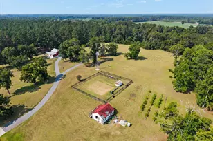 2224 Chainey Briar Rd, Metter, GA 30439 - Photo 137