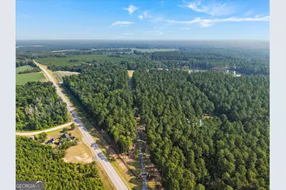 2224 Chainey Briar Rd, Metter, GA 30439 - Photo 119