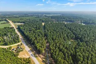 2224 Chainey Briar Rd, Metter, GA 30439 - Photo 119